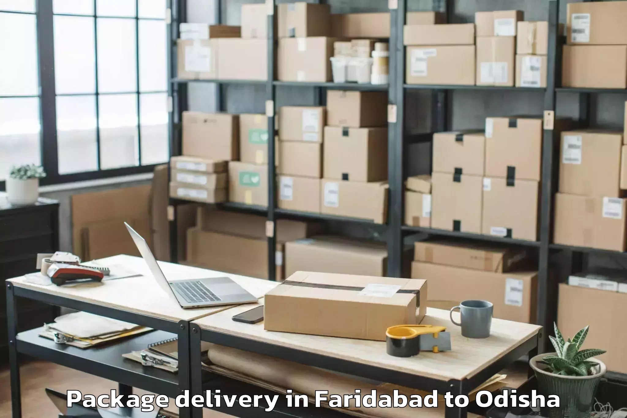 Book Faridabad to Banposh Package Delivery Online